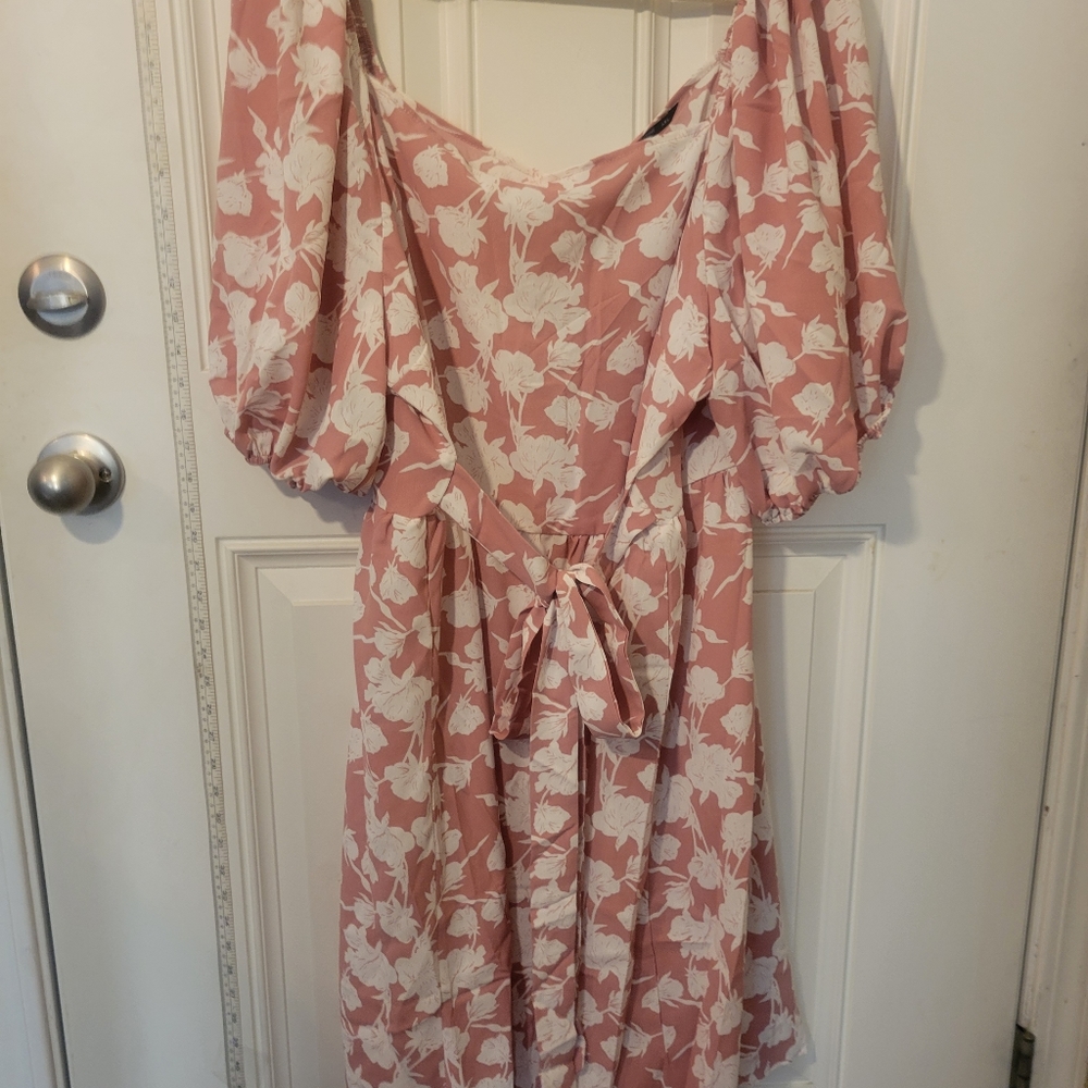 Dress 4X